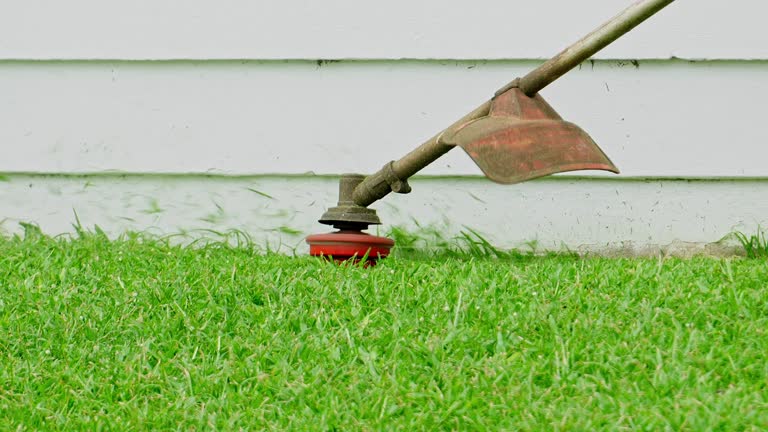 Best Lawn Maintenance Plans  in Caledonia, MN